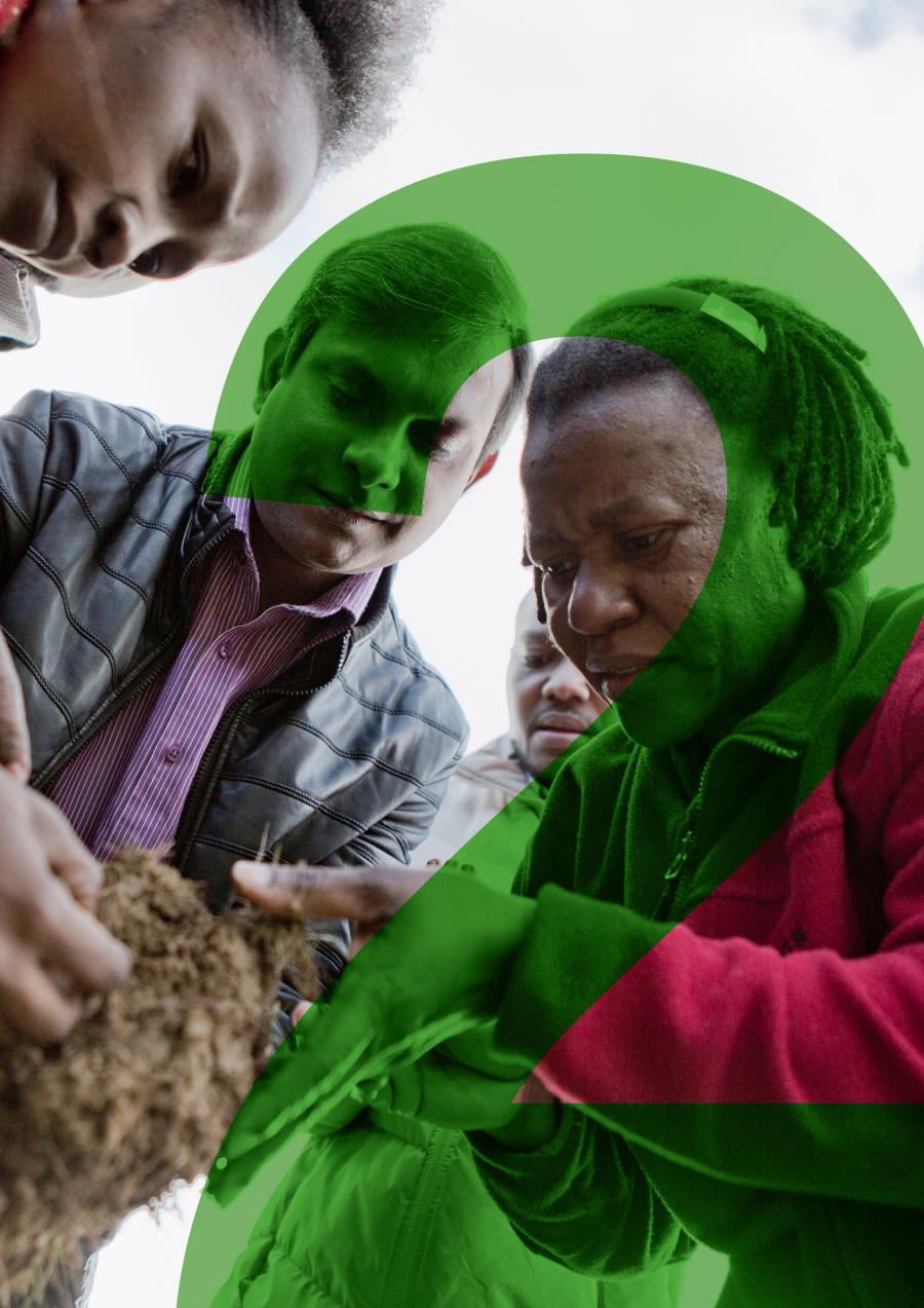 2. group of people examine a soil sample